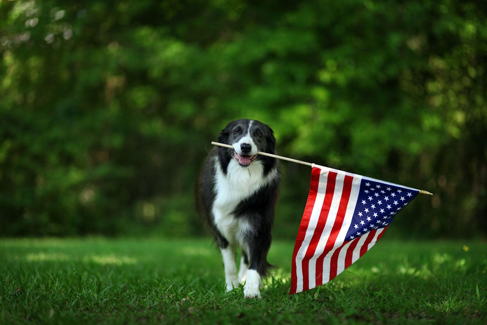 Simple ways to mark Memorial Day 